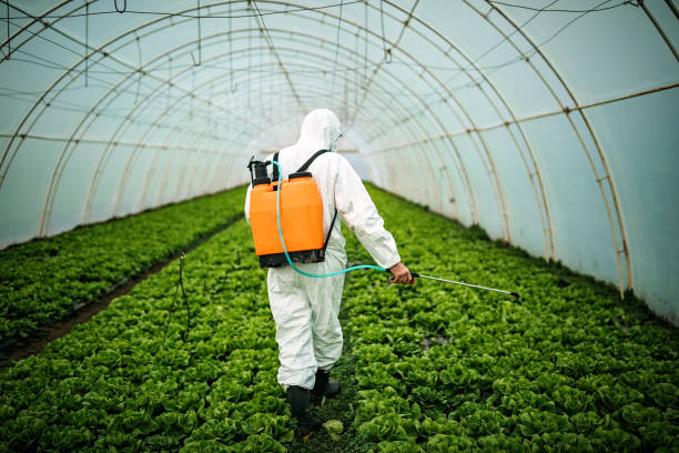 Best Pest Control for Restaurants  in Riverview, MO