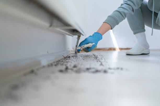 Pest Control Cost in Riverview, MO